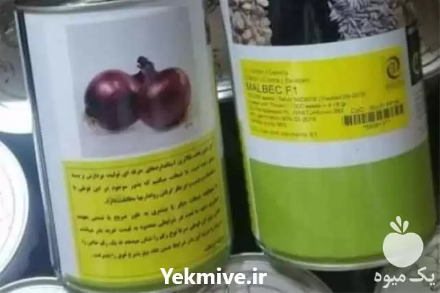فروش بذر پیاز قرمز مالبک انزا در تهران در گروه خرید و فروش بذر پیاز در یکمیوه -عکس1