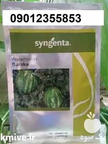 بذر هندوانه راکا پرفروش اصل در گروه خرید و فروش بذر هندوانه در یکمیوه -عکس1