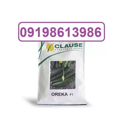 قیمت خرید بذر خیار اورکا در کرمان  در گروه خرید و فروش بذر خیار در یکمیوه -عکس1