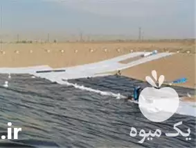 فروش ساخت انواع استخرهای کشاورزی در تهران در گروه خرید و فروش استخر کشاورزی در یکمیوه -عکس1