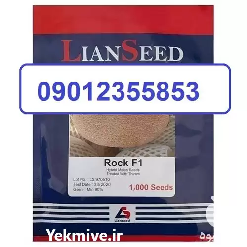 قیمت خرید عمده بذر خربزه راک در اهواز در گروه خرید و فروش بذر خربزه در یکمیوه -عکس1