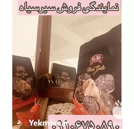 فروش سیر سیاه اصل خرید سیر در گروه خرید و فروش سیر در یکمیوه -عکس1