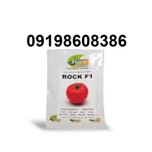 قیمت خرید بذر گوجه فرنگی راک در مشهد در گروه خرید و فروش بذر گوجه در یکمیوه -عکس1