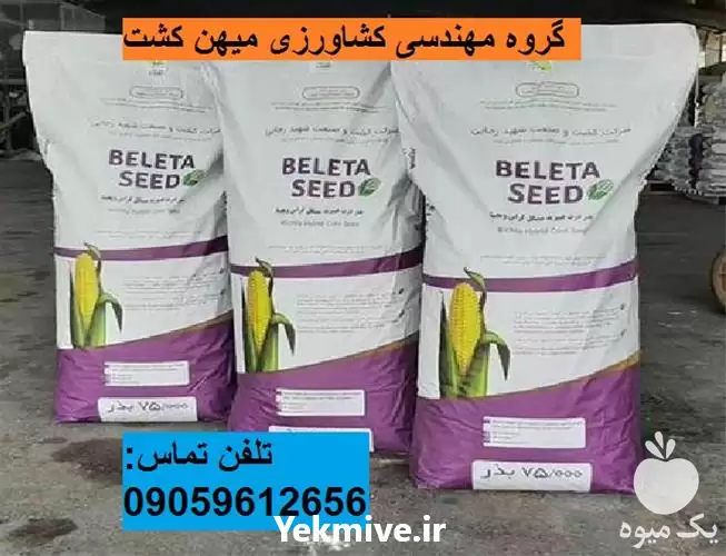 بذر ذرت سینگل کراس ویچیتا F 1 در اهواز در گروه خرید و فروش بذر ذرت در یکمیوه -عکس1