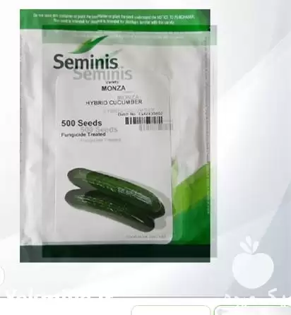 قیمت خرید بذر خیار مونزا در ارومیه در گروه خرید و فروش بذر خیار در یکمیوه -عکس1