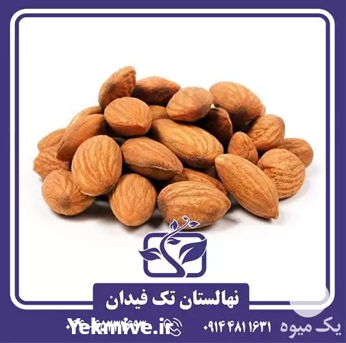 خرید و قیمت نهال بادام کریستومورت و در ارومیه در گروه خرید و فروش نهال بادام در یکمیوه -عکس1
