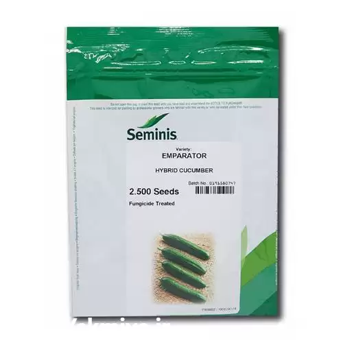 قیمت خرید بذر خیار امپراطور در همدان در گروه خرید و فروش بذر خیار در یکمیوه -عکس1