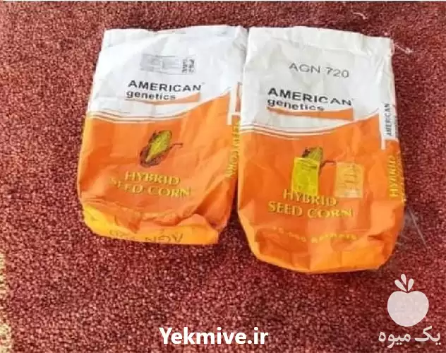 فروش بذر ذرت آمریکن ژنتیک AGN 720 در تهران در گروه خرید و فروش بذر ذرت در یکمیوه -عکس1