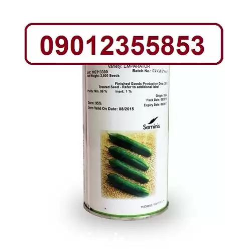 فروش بذر خیار امپراطور با میوه در زاهدان در گروه خرید و فروش بذر خیار در یکمیوه -عکس1