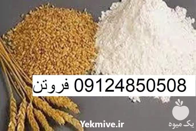 فروش گلوتن ذرت در اصفهان در گروه خوراک دام و طیور در یکمیوه -عکس1