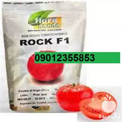 فروش بذر گوجه فرنگی راک در کرمان  در گروه خرید و فروش بذر گوجه در یکمیوه -عکس1