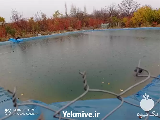 قیمت خرید ارائه عریض ترین ورق در ارومیه در گروه خرید و فروش استخر کشاورزی در یکمیوه -عکس1