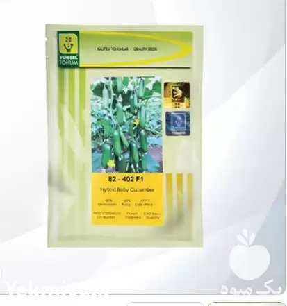 فروش بذر خیار مینی 402 در گروه خرید و فروش بذر خیار در یکمیوه -عکس1