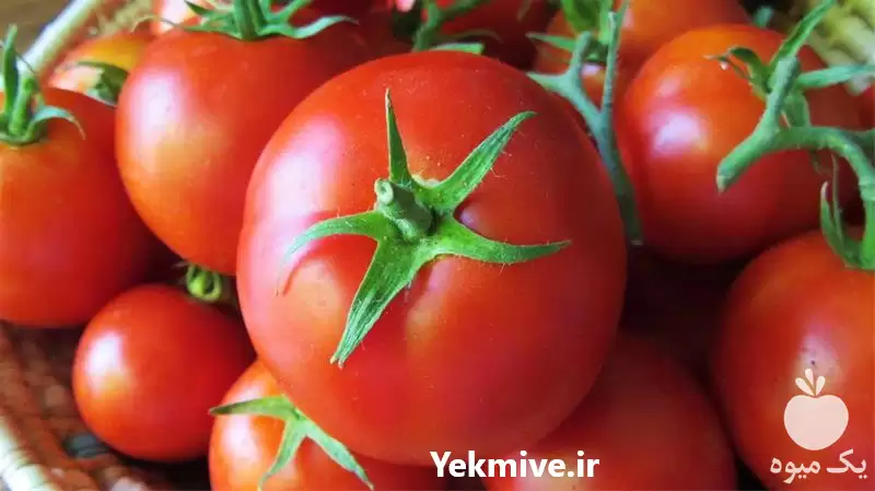 فروش خرید بذر گوجه فرنگی موناکو در تبریز در گروه خرید و فروش بذر گوجه در یکمیوه -عکس1