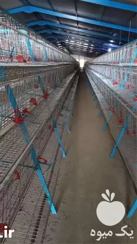 فروش دام طیور فقیه لولوازم در مشهد در گروه تجهیزات مرغداری در یکمیوه -عکس1