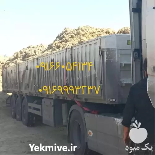 قیمت خرید عرضه و تولید باگاس در اهواز در گروه خوراک دام و طیور در یکمیوه -عکس1