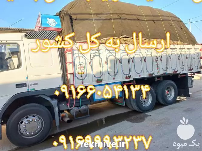 قیمت خرید کاه نیشکر یا باگاس در گروه خوراک دام و طیور در یکمیوه -عکس1