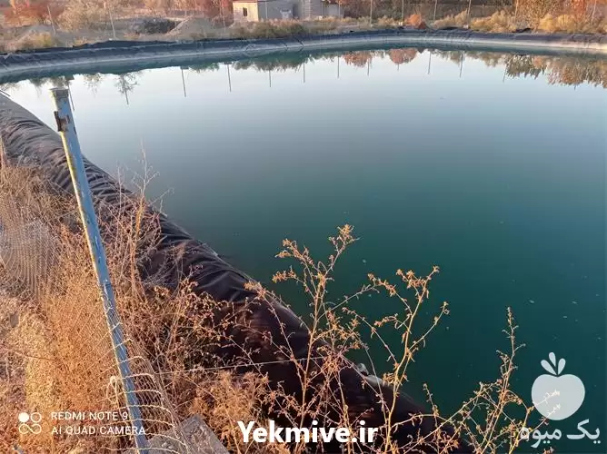 فروش وارد کننده توزیع کننده ورق در ارومیه در گروه خرید و فروش ژئوممبران و ژئوتکستایل در یکمیوه -عکس1