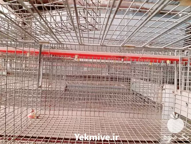 فروش قفس پرورش پولت در تبریز در گروه تجهیزات مرغداری در یکمیوه -عکس1