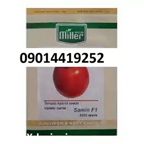 فروش بذر گوجه فرنگی ثمین در شیراز در گروه خرید و فروش بذر گوجه در یکمیوه -عکس1