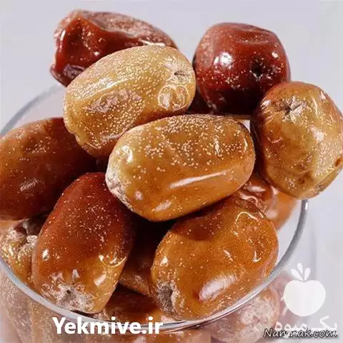 فروش نهال سنجد گلدانی در ساری در گروه خرید و فروش نهال در یکمیوه -عکس1