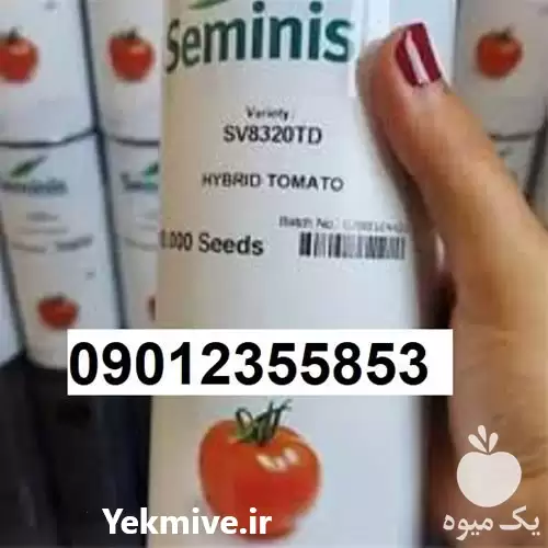 قیمت خرید بذر گوجه فرنگی 8320 در گروه خرید و فروش بذر گوجه در یکمیوه -عکس1