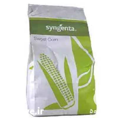 فروش بذر ذرت اکسن چوئیت ارسال در گروه خرید و فروش بذر ذرت در یکمیوه -عکس1