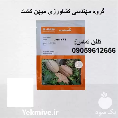 فروش بذر خربزه جانا F 1 در گروه خرید و فروش بذر خربزه در یکمیوه -عکس1