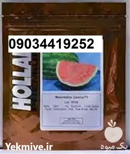 بذر هندوانه هولار پرفروش اصل در اهواز در گروه خرید و فروش بذر هندوانه در یکمیوه -عکس1