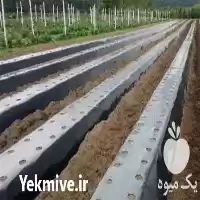 فروش بستر کشت به صورت تخصصی در تهران در گروه خرید و فروش انواع کود کشاورزی در یکمیوه