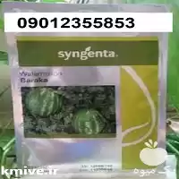 بذر هندوانه راکا پرفروش اصل در گروه خرید و فروش بذر هندوانه در یکمیوه