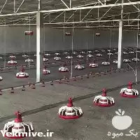 فروش بهترین قیمت آبخوری نیپل در گروه تجهیزات مرغداری در یکمیوه