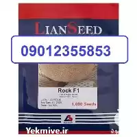 قیمت خرید عمده بذر خربزه راک در اهواز در گروه خرید و فروش بذر خربزه در یکمیوه