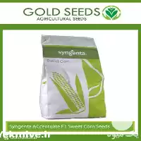 فروش بذر ذرت اکسن چوئیت در گروه خرید و فروش بذر ذرت در یکمیوه