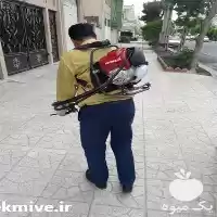 قیمت خرید علفچین در کرج در گروه علف تراش و علف زن در یکمیوه