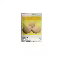 فروش بذر ملون شیرین هیبرید F 1 در تبریز در گروه خرید و فروش بذر ملون در یکمیوه