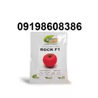 قیمت خرید بذر گوجه فرنگی راک در مشهد در گروه خرید و فروش بذر گوجه در یکمیوه