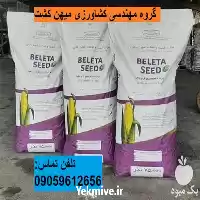 بذر ذرت سینگل کراس ویچیتا F 1 در اهواز در گروه خرید و فروش بذر ذرت در یکمیوه