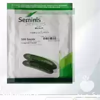 قیمت خرید بذر خیار مونزا در ارومیه در گروه خرید و فروش بذر خیار در یکمیوه