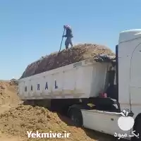 فروش عمده باگاس یا کاه نیشکر در تهران در گروه خوراک دام و طیور در یکمیوه