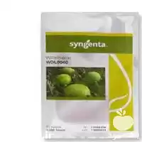 قیمت خرید عرضه بذر هندوانه 8040 در همدان در گروه خرید و فروش بذر هندوانه در یکمیوه