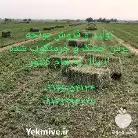 قیمت خرید کاه نیشکر یا باگاس در گرگان در گروه خوراک دام و طیور در یکمیوه