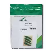 قیمت خرید بذر خیار امپراطور در همدان در گروه خرید و فروش بذر خیار در یکمیوه