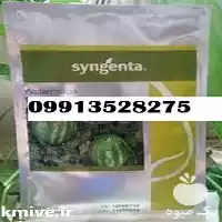 بذر هندوانه باراکا پر فروش بذر در تهران در گروه خرید و فروش بذر هندوانه در یکمیوه