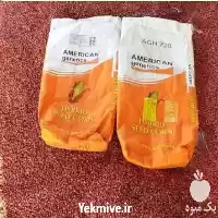 فروش بذر ذرت آمریکن ژنتیک AGN 720 در تهران در گروه خرید و فروش بذر ذرت در یکمیوه