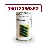 فروش بذر خیار امپراطور با میوه در زاهدان در گروه خرید و فروش بذر خیار در یکمیوه