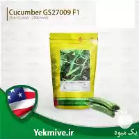 قیمت خرید بذر خیار پر محصول در گروه خرید و فروش بذر خیار در یکمیوه