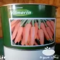 فروش بذر هویج پریستو F 1 در ارومیه در گروه خرید و فروش بذر هویج در یکمیوه