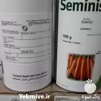 فروش بذر هویج فورتو قیمت بذر در گروه خرید و فروش بذر هویج در یکمیوه