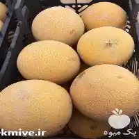 فروش بذر خربزه گالا در یزد در گروه خرید و فروش بذر خربزه در یکمیوه